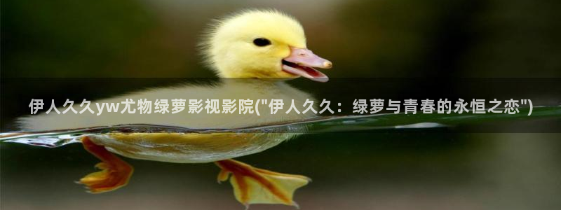 歌曲伊人如梦视屏