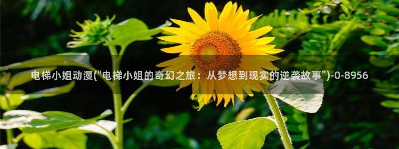 动漫美女比基尼