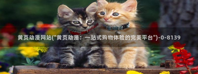 国产动漫