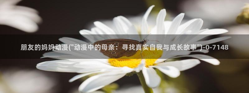 58动漫网站