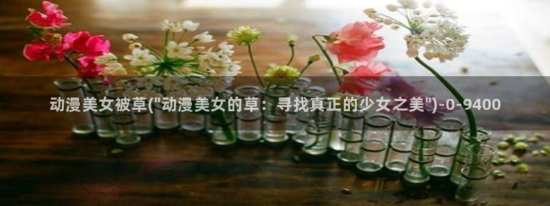 动漫国
